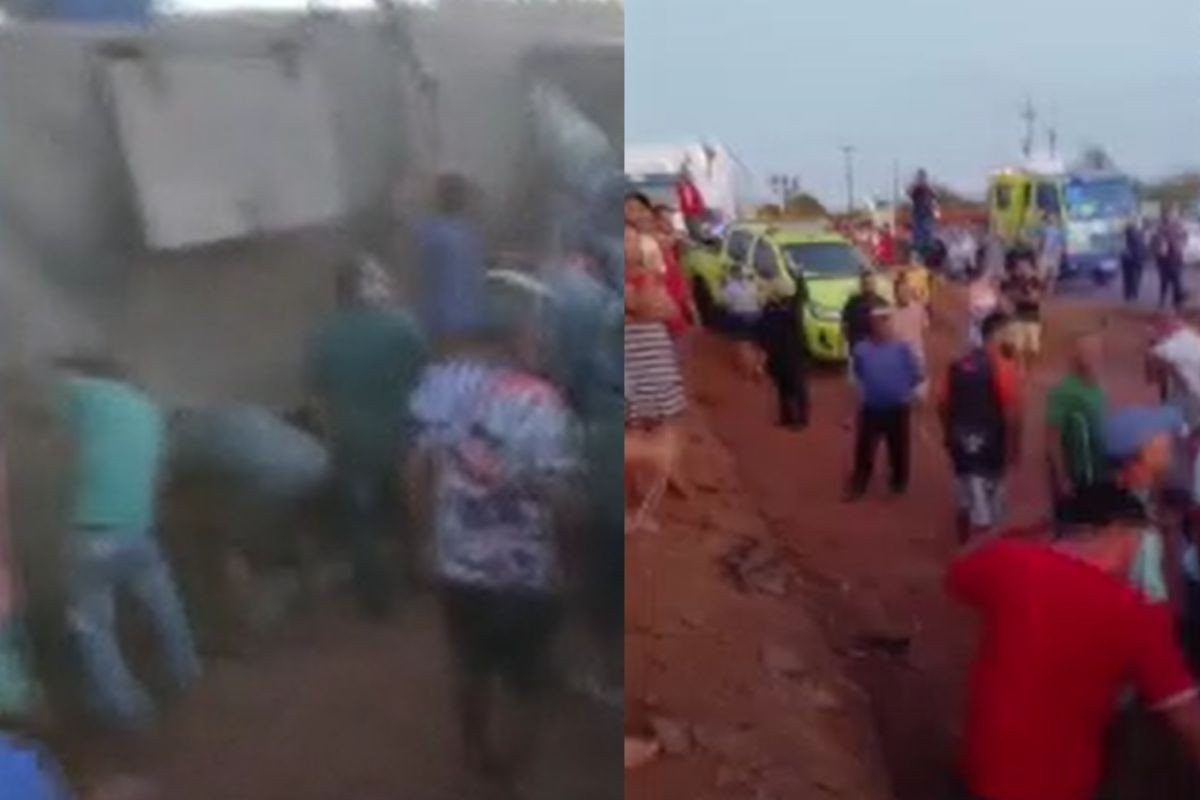 Vídeo: carreta carregada com porcos é saqueada após tombar na BR-070 em MT