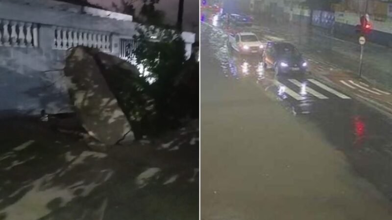 Temporal provoca estragos, alaga ruas e derruba árvores no interior e litoral de SP; VEJA