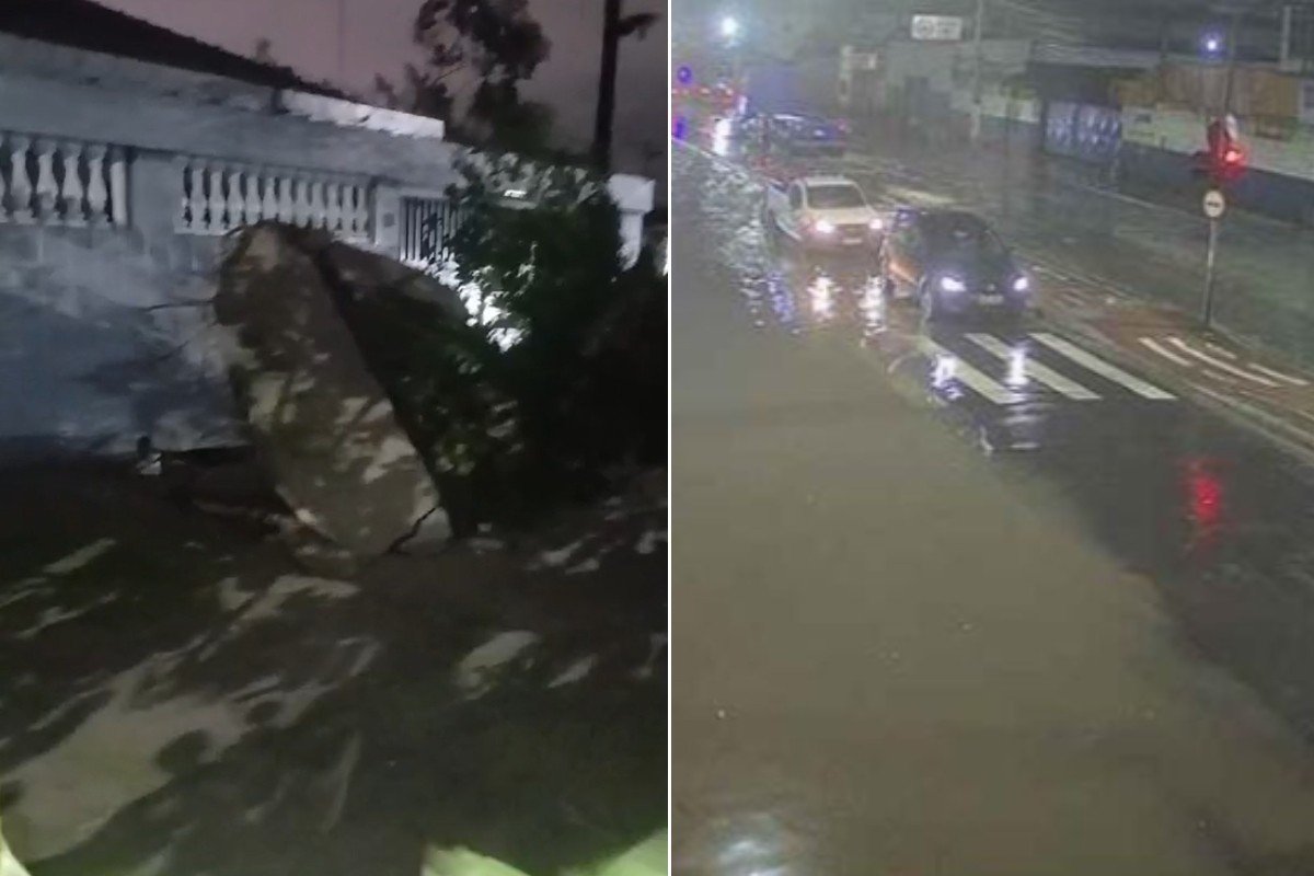 Temporal provoca estragos, alaga ruas e derruba árvores no interior e litoral de SP; VEJA