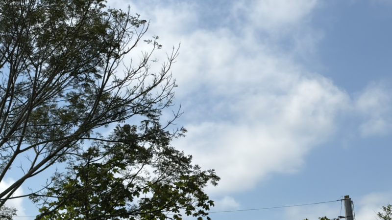 Previsão: Vale terá tempo firme até quarta, enquanto Litoral tem chance de garoa; chuva volta na quinta-feira