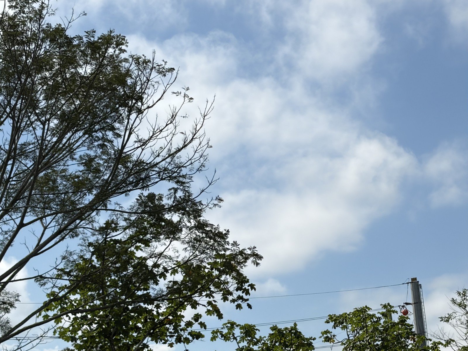 Previsão: Vale terá tempo firme até quarta, enquanto Litoral tem chance de garoa; chuva volta na quinta-feira